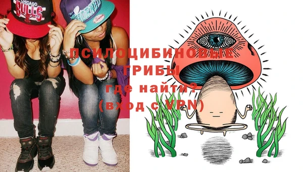 шишки Арсеньев