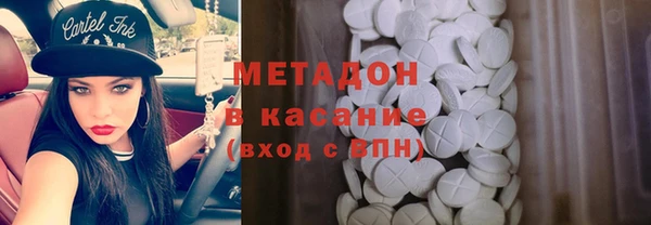 шишки Арсеньев