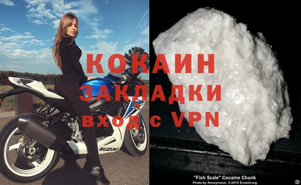 шишки Арсеньев