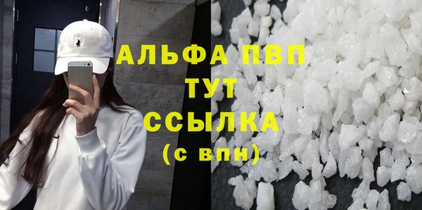 шишки Арсеньев
