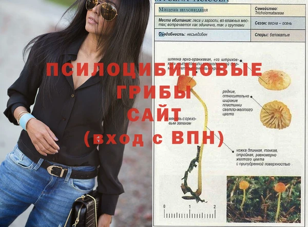 дмт Армянск