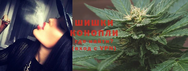 СК Аркадак
